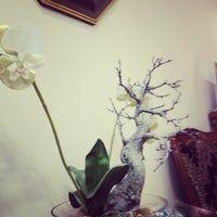 Фотография Золотая орхидея 0